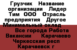 Грузчик › Название организации ­ Лидер Тим, ООО › Отрасль предприятия ­ Другое › Минимальный оклад ­ 19 000 - Все города Работа » Вакансии   . Карачаево-Черкесская респ.,Карачаевск г.